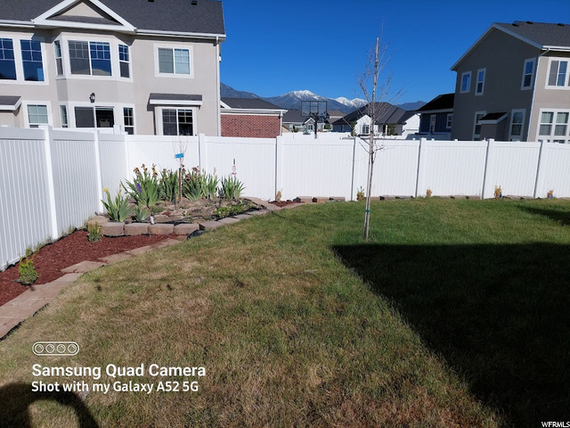 Back yard side 2