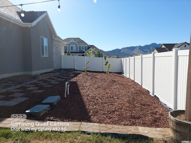 Side yard 2 peach 1 cherry tree planted
