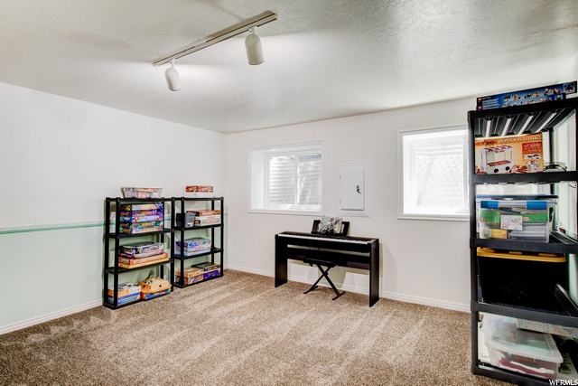 Basement Bedroom #1