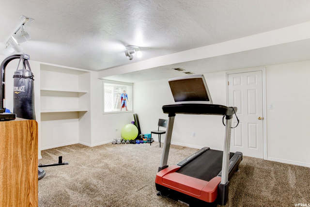 Basement Family Room
