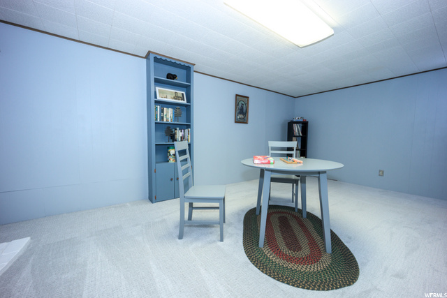 Family Room Basement