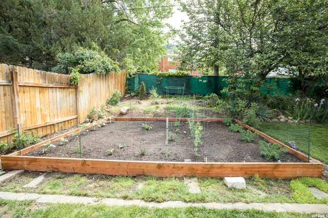 Garden - Backyard