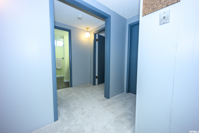 Basement Entry
