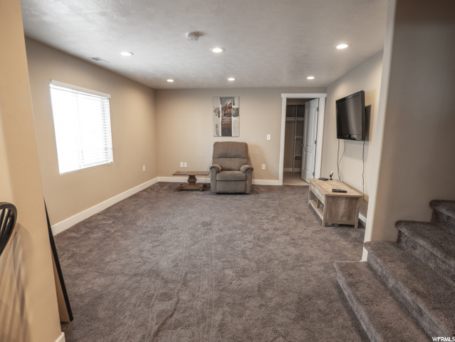 Basement Living Room