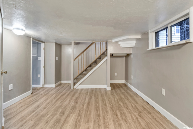 Basement family room