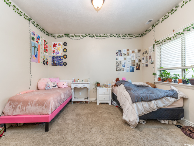 Downstairs Bedroom