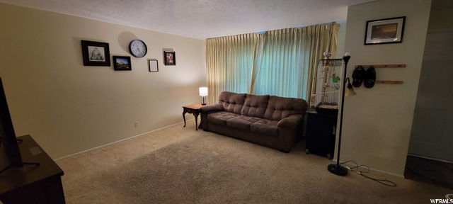 909 E 1015 S, Ogden, UT 84404 — photo 3