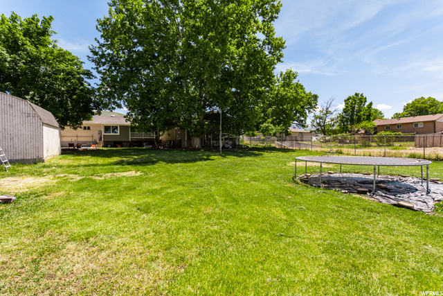 Backyard of the .46 acres