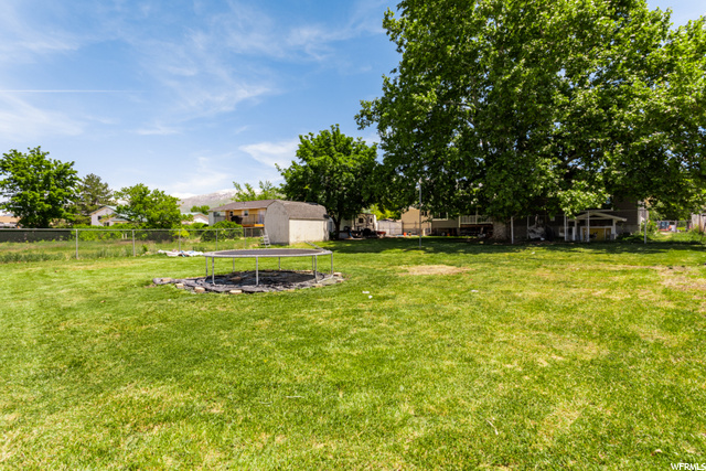 Backyard of the .46 acres