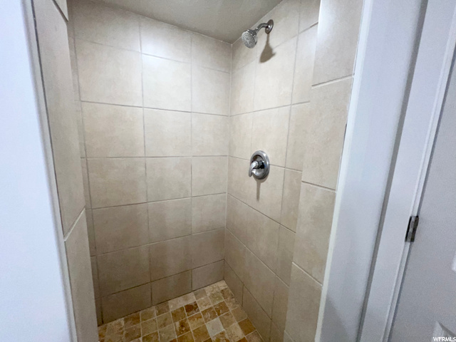 Basement Tiled Shower