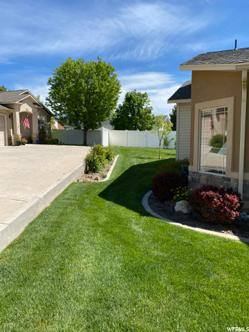 East side yard