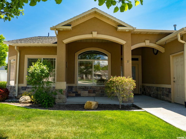 Lawn and weed care