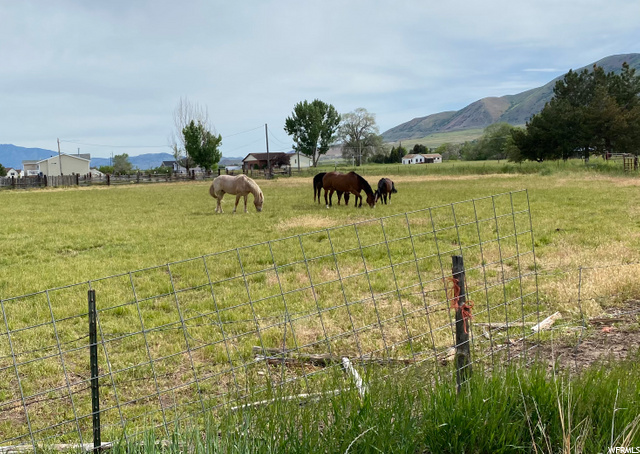 #2, Tremonton, UT 84337 — photo 4