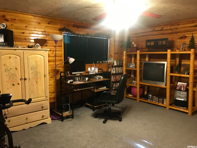 Downstairs den/office