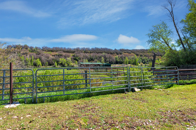 Fence Panels run North property line