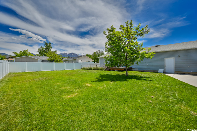 HUGE back yard!