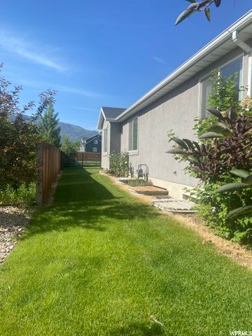 Side yard