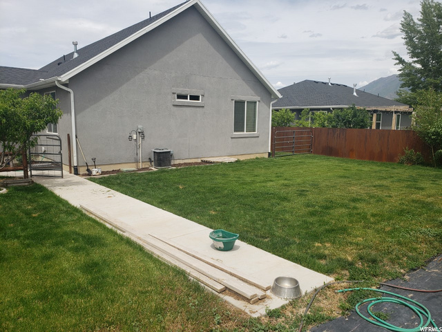 Back yard
