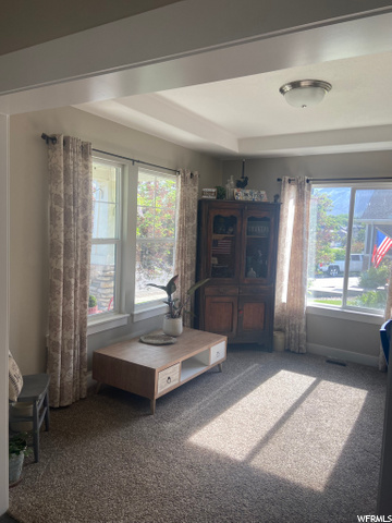 Living room/den