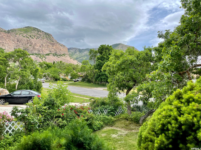 View from the front porch