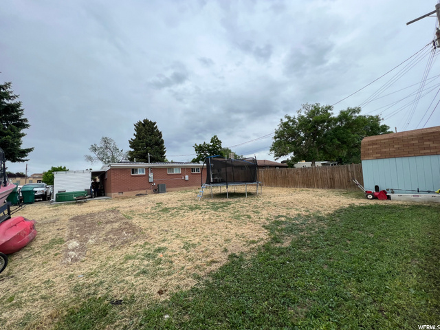 Back yard 1