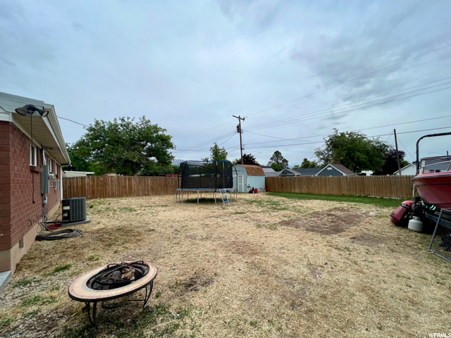 back yard 2