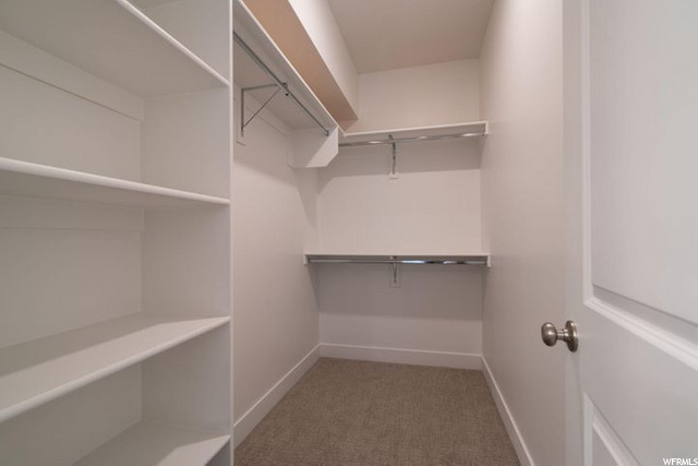 662 Rosa Lane - Walkin Closet