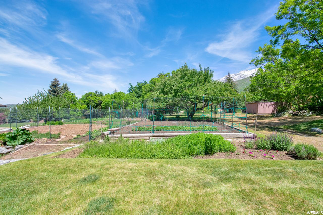 Raised garden/flower beds