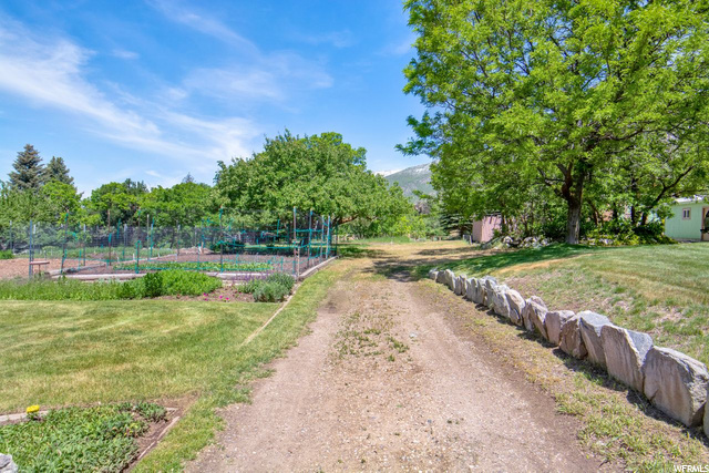 Dirt drive access past garden to outbuildings