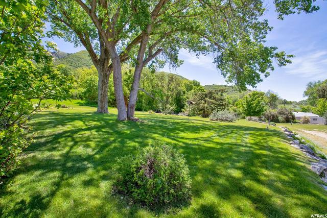 Backyard view from deck