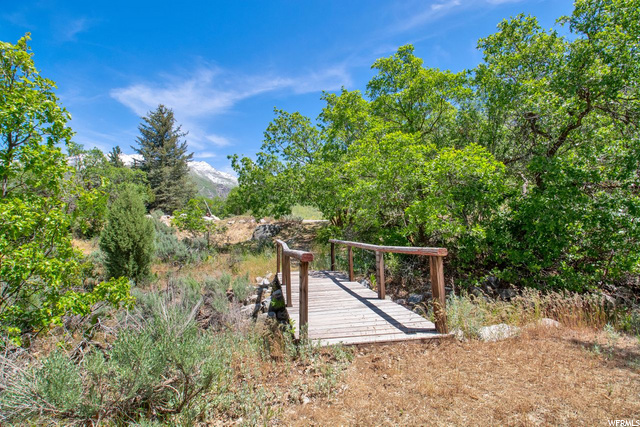 Walking bridge over seasonal stream