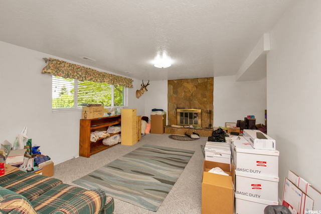 Lower level family room