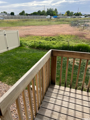 Back Deck/Yard