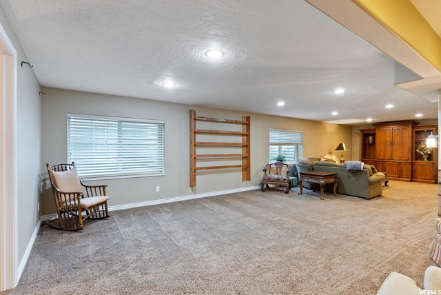 downstairs family room