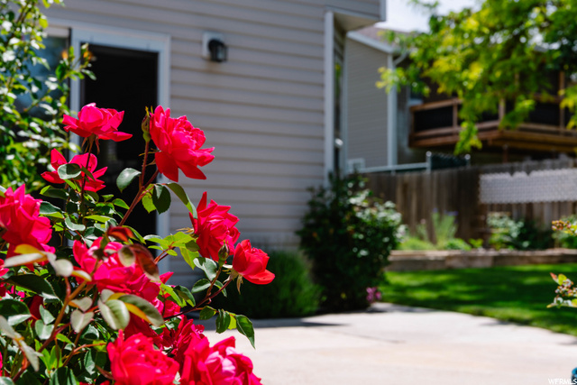 561 E 450 N, Ogden, UT 84404 — photo 12