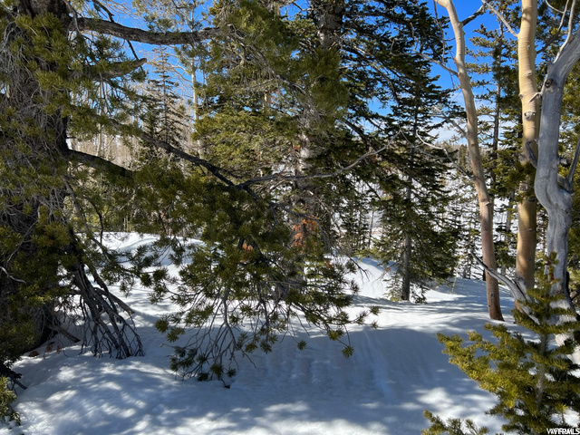 #1, Brian Head, UT 84719 — photo 6