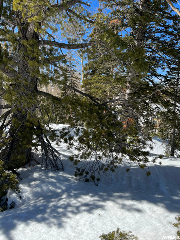#1, Brian Head, UT 84719 — photo 3