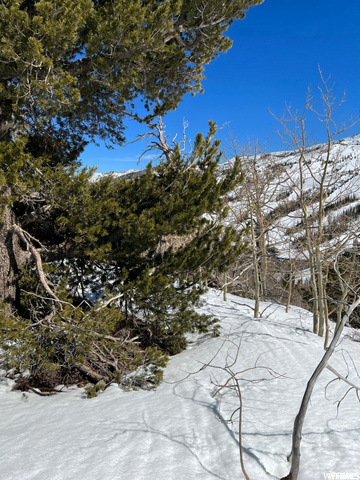 #1, Brian Head, UT 84719 — photo 4