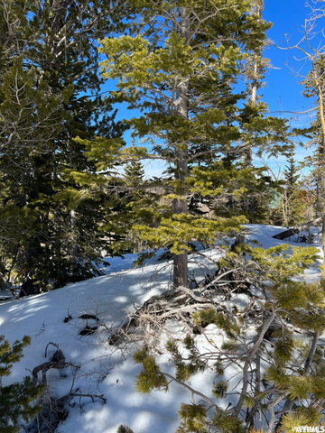 #1, Brian Head, UT 84719 — photo 5