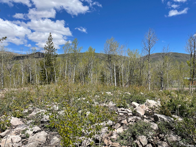 32 The Overlook #32, Oakley, UT 84055 — photo 3