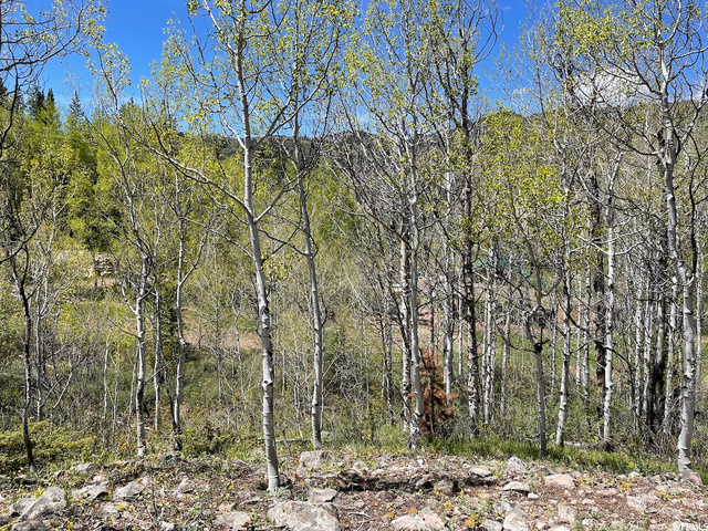 32 The Overlook #32, Oakley, UT 84055 — photo 10