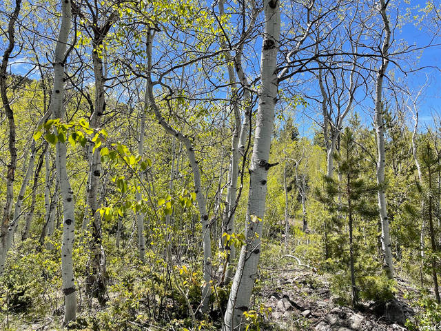 32 The Overlook #32, Oakley, UT 84055 — photo 12