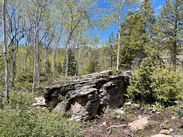 32 The Overlook #32, Oakley, UT 84055 — photo 4