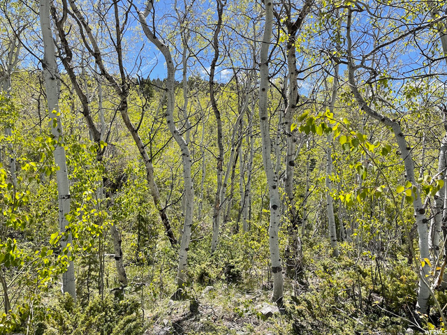 32 The Overlook #32, Oakley, UT 84055 — photo 11