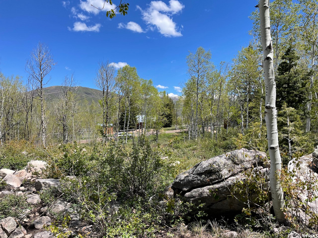 32 The Overlook #32, Oakley, UT 84055 — photo 2