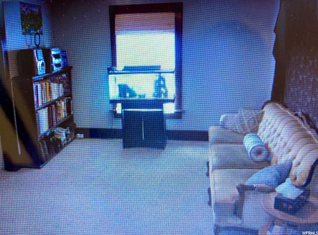 Living/family room