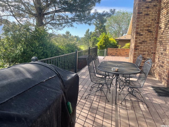 Trex deck 1