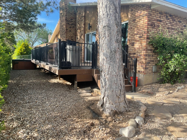 xeriscaped yard