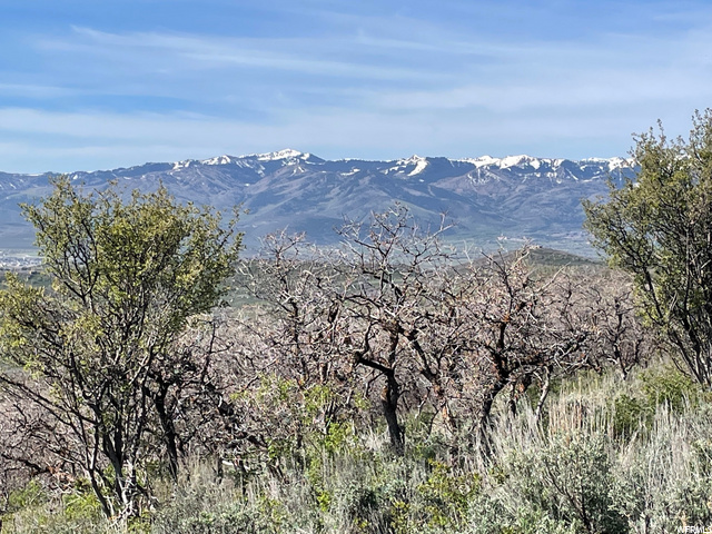 2539 S Forest Cir #16, Wanship, UT 84017 — photo 8