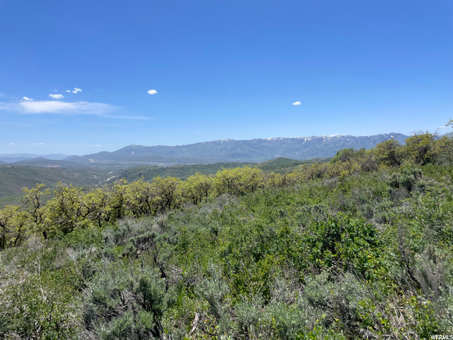 2539 S Forest Cir #16, Wanship, UT 84017 — photo 3